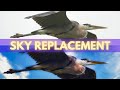 Luminar Ai Sky Replacement Tutorial | Let&#39;s take a closer look!