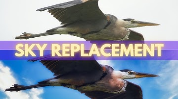 Luminar Ai Sky Replacement Tutorial | Let