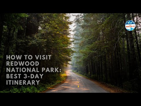 Video: RV-destinationsguide: Redwood National Park