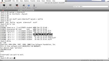 Lab #5 - Video Solution Review