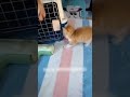 Когда он узнал, что на новой работе ему будут платить в три раза меньше ☺️☺️☺️