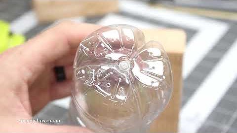 Super Simple Carpenter Bee Trap