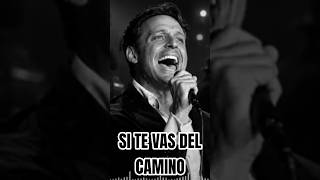 La Media Vuelta (Si Te Vas del Camino) | Soanish Blues Soul Ballad | Inspirado en Luis Miguel