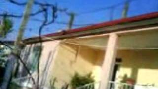 MOV00232.3GP