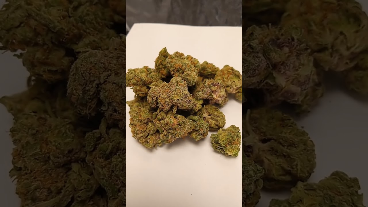Peanut Butter Truffle Cannabis strain review W/Dr. Greenbody