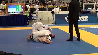 TowerBjj