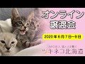 ツキネコ北海道【オンライン譲渡会】2020年6月7〜9日
