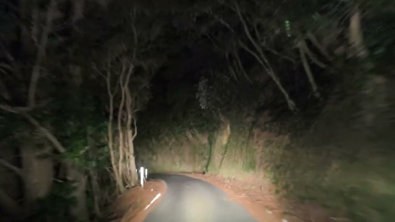 Night Forest NZ Drive  117 return - Akatarawa Road Rambles