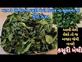 માત્ર 3 મિનીટ ને કસૂરી મેથી તૈયાર ના સૂકવવા ની ઝંઝટ | આવી મેથી લેશો તો જ બજાર જેવી | Kasuri Methi |