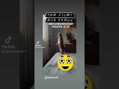 ልክ እንደ ነገረኛ ሰው ውርዬም ወሬ ለማየት ሰጠራራ