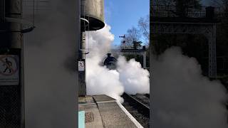 Steamy Bahamas! #NYMR