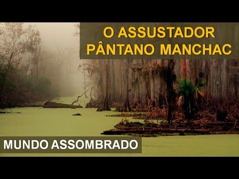 Vídeo: Como Os Pântanos São Formados