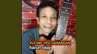 Kucing Opo Garangan (Acoustic)
