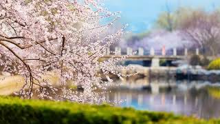 你不要到阎王老爷那里去哭，那就真的来不及了。因为这个果报已经到了，他是执法官，已经执行了