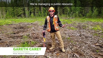 What is Silviculture you ask?