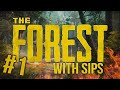 The Forest Co-op (with Sips) #1 - No Grylls