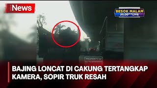 VIRAL! Aksi Bajing Loncat di Cakung Tertangkap Kamera, Sopir Truk Mengaku Resah - iNew Pagi 15/05