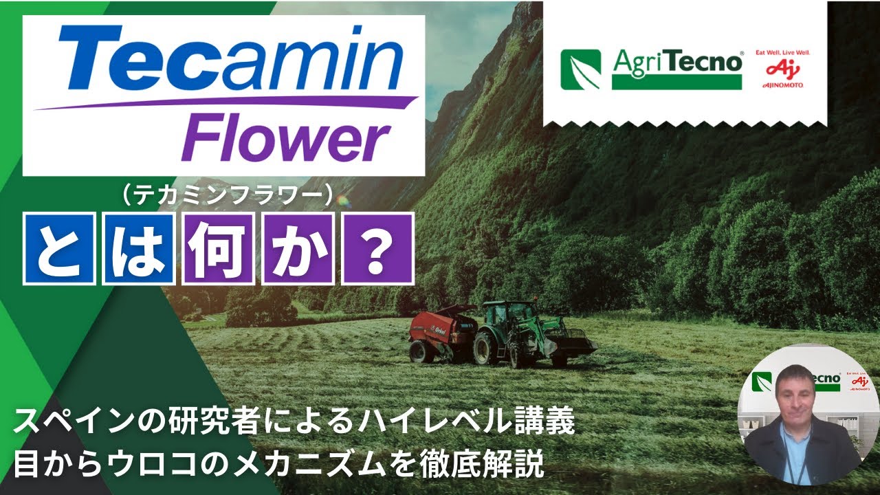  Carniflore Tammie マンイーターフラワー Tecamin Flower(テカミンフラワー) | 味の素グループ アミノ酸肥料