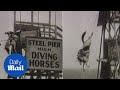 Incredible footage shows horses diving into 12 feet of water - Daily Mail