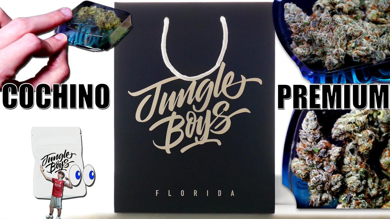 Cochino PREMIUM FLOWER from Jungle Boys Florida | Strain Review by Randy Rhoads FL