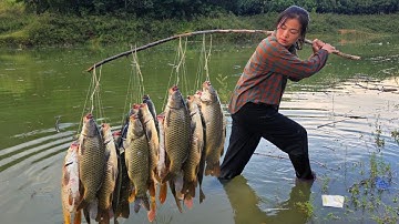 Traditional fishing, single girl Diep uses pork as bait to catch a school of carp in a large lake.