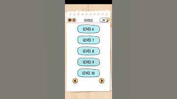 Brain Test 2 Agent Smith Level 9 Smith must catch the man