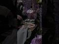 Surah Al-Anbiya Beautiful Recitation #allah #zeealquran #quran #viral #shorts