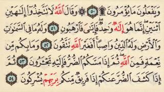 Let's memorize Surat An-Nahl - Mohamed Seddik Al-Minshawi -Quran Memorization made Easy