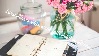 Pen + Gear planner haul, plus a devotional on fea