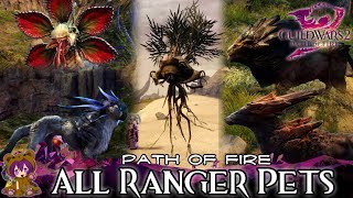 GW2 All PoF Ranger Pets - Sand Lion, Fanged Iboga, Cheetah, Rock Gazelle & Jacaranda