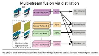 PERF-Net: Pose Empowered RGB-Flow Net