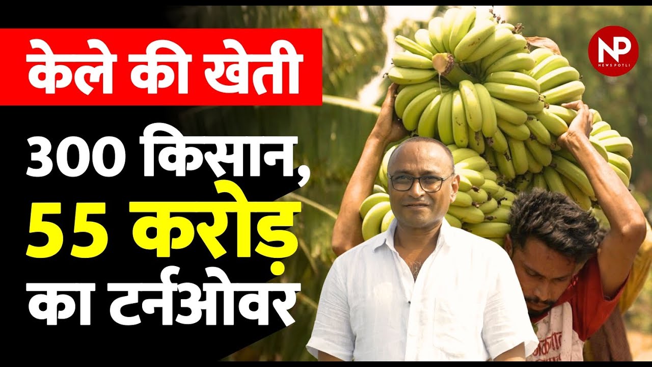 Banana Farming and Trading 300 किसान 55 करोड़ का टर्नओवर || Tissue Culture Banana || Agribusiness