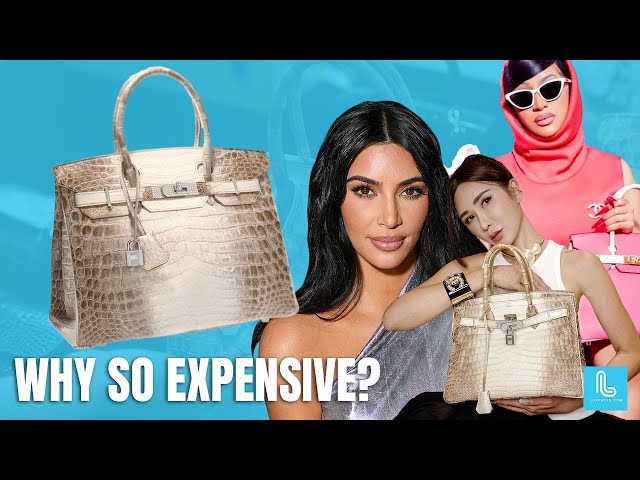 The History and Hype behind the Luxury Birkin Bag - TUC