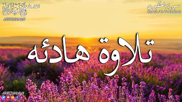 تلاوة خاشعة - كل نفس ذائقة الموت - القارئ أحمد حلاوة Sheikh Ahmed Halawa