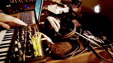 tom ralph dali session