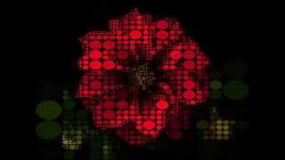 Image Processing Algorithm (Image of a Rose)