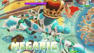 MEGABIG MANTIS SHRIMP 🍤! - King of Crabs Resimi