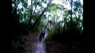 Going Downhill