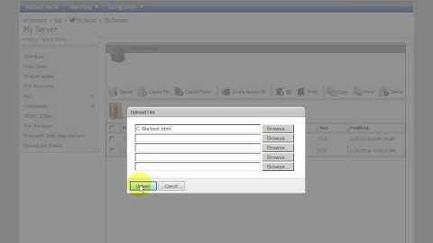 File Manager in WebsitePanel
