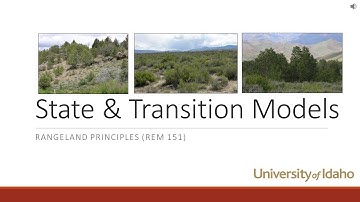 State and Transition Models
