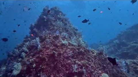 Hin Muang (Purple Rock)