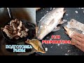 ПОДГОТОВКА РЫБЫ  | FISH PREPARATION (ASMR  Sounds) 생선 준비  | BALIQ TAYYORLASH