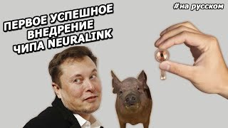 Elon Musk presented a new NEURALINK CHIP |2020| (in Russian)