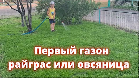 Наш первый газон. Райграс или овсяница? Первый опыт, что вышло. / Жизнь в селе Казахстана.