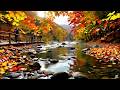 Deep Sleep Therapy with Natural Sounds 🌿 Stress Relief, Insomnia &amp; Focus Healing