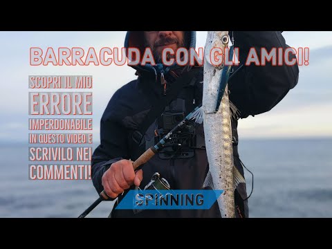 BARRACUDA CON GLI AMICI - spinning inshore al barracuda con i Long Jerk - clipangler