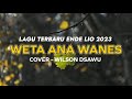 LAGU TERBARU ENDE LIO 2023 | WETA ANA WANES - COVER WILSON DSAWU (OFFICIAL LYRIC VIDEO).