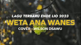 LAGU TERBARU ENDE LIO 2023 | WETA ANA WANES - COVER WILSON DSAWU (OFFICIAL LYRIC VIDEO).