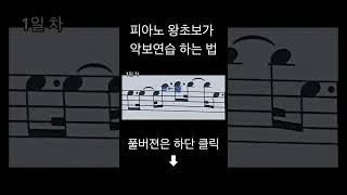 피아노 왕초보가 악보 연습하는 법 #shorts
