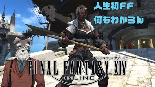 【FF14】人生初FF【黄金のレガシー】